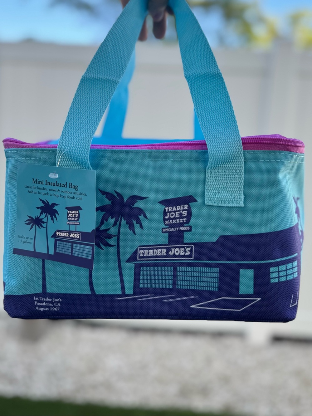 Trader Joe's Mini Insulated Lunch Bag - Turquoise & Purple